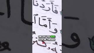 are you flicking social media? #allah #freepalestine #fypシ #islamineast #muftimenkshorts #muftimenk