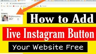 how to add live Instagram Follower button your website free