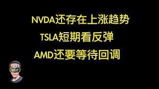 NVDA 跌到128仍旧有支撑；TSLA近期回升只能当反弹；AMD还要继续回调到101左右；MSTR短期看344高点