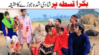 | Ramzi,Noori, Bilo ,Bhootna,Shoki, Sanam, Falak Sher,Funny Video  Rachnavi Tv