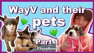 WayV and their Pets being a mess | Part 1