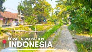 Real life in the countryside || INDONESIAN rural atmosphere || touring the countryside • [  4K ]