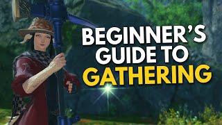 Beginner's Guide to Gathering (Botanist/Miner) in FFXIV