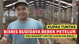 KUPAS TUNTAS BISNIS BUDIDAYA BEBEK PETELUR, PAS BANGET UNTUK KAUM MILENIAL!