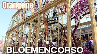 Orangerie - Corso Zundert 2024 #eersteDoorkomst #bloemencorso | Shiela Piet