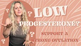 Low Progesterone? How To Increase Progesterone - 4 Tips