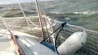 Neptun 22 auf dem Ijsselmeer bei Windstärke 5 bis 6
