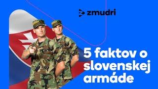 Načo je Slovensku armáda a koľko nás stojí?