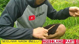 Keseruan Ngurek Belut Di Sawah Dilanjutkan Dengan Makan-makan | Edisi Incu Galeng Ngebolang Part 2