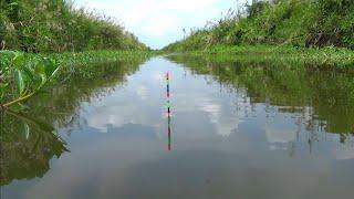 REJEKI NOMPLOK!! Bagaikan mancing di selokan jepang, spot ini di penuhi ikan besar