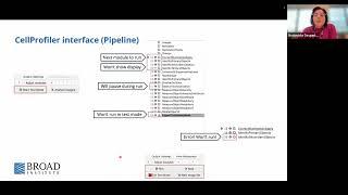 Introduction to Cell Profiler: A beginner’s guide to segmentation