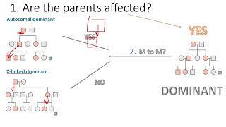 How To Solve ANY Pedigree Without Reading the Question (USMLE)