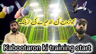 kabutar ki raat ki training || haider pathan pigeons || Khokhar pigeons club || kabutar training