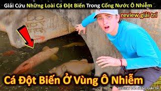 Giải Cứu Những Loài Cá Đột Biến Kỳ Lạ Trong Cống Nước Bị Ô Nhiễm || Review Giải Trí Đời Sống