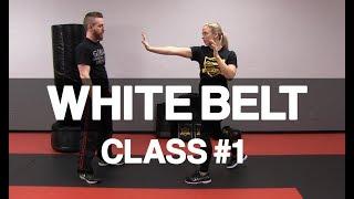 Introduction to Krav Maga - White Belt Class #1 (Stance & Palm Strike)