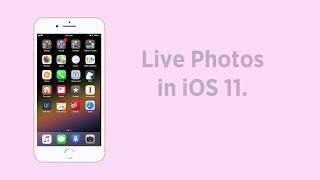 iOS 11 Tip: Live Photos