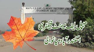 Maple leaf Cement  Factory