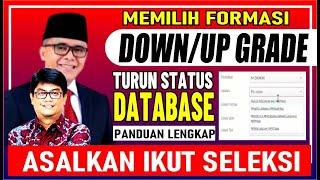  Pilih Formasi DownGrade/UpGrade Ijazah, Dari Database BKN 2022