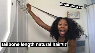 tailbone length natural hair?!? | length check #4 |
