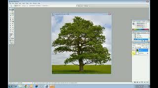 Tree Background Remove / How to remove a tree's background in photoshop 7.0 #photo #photoshop