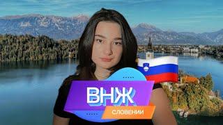 ВНЖ СЛОВЕНИИ/ КАК ОФОРМИТЬ ВНЖ ЕВРОПЫ?