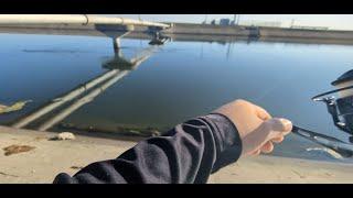 California Aqueduct, Ca | Fishing