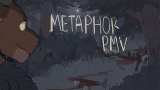 metaphor | oc pmv