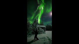 Spectacular Northernlights in Ranua, Lapland, Finland