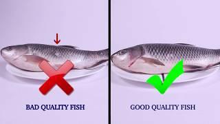 Testing Fish for Good Quality | FSSAI