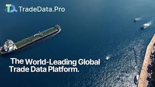 Conquer Global Trade with TradeData.Pro