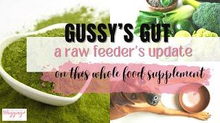 Gussy's Gut | This Whole Food Supplement Healed My Dog's Gut