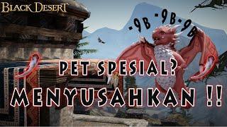 -9b | Black Desert Online | INDONESIA