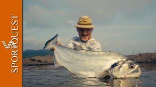 Extreme Fly Fishing for VAMPIRE fish in the Xingu River 