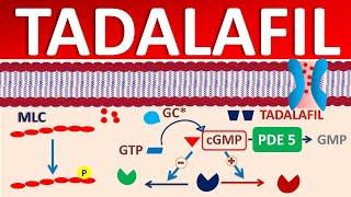 Tadalafil - Mechanism, side effects, precautions & uses