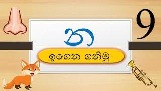 න අකුර | BUZZ WELLS