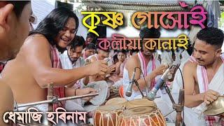 Dhemaji Harinaam Hemanta Gogoi || কৃষ্ণ গোসাঁই || Bidyut Borphukan ||