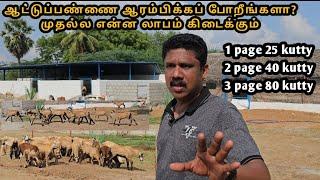 ## ஒரு ஆட்டுப்பண்ணை ஆரம்பித்து ஒரு குட்டியின் லாபம் 2000 ரூபாய் எப்பொழுது கிடைக்கும்.// goat farm.