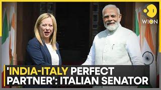 Italian Senator Gelmetti Says India Is Italy's 'Perfect Partner' | Meloni | India Italy News | WION