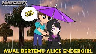 PERTAMA KALI BERTEMU ALICE, ENDER GIRL - Animasi Minecraft