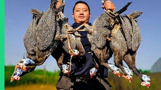 Exotic Birds TAKEOVER Wisconsin!!! Cooking HMONG Style in the Midwest!!