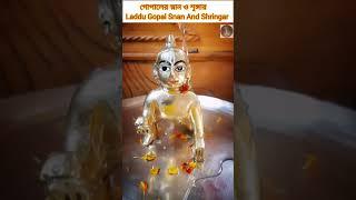 laddu gopal ️️️ #ytshorts #laddugopal #mamonshobbies 