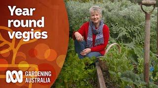 Vegetable crops that can be planted & harvested all year-round | Gardening 101 | Gardening Australia