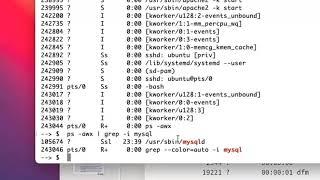 the Linux/ UNIX process hierarchy - exporting variables to a sub shell