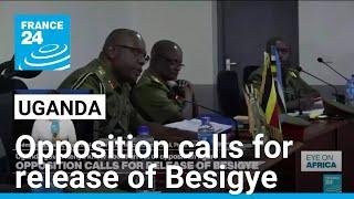 Kenya investigating how Uganda opposition figure was 'abducted' • FRANCE 24 English