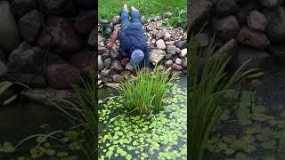 Fixing A Pond Water Pump At Rainy Days