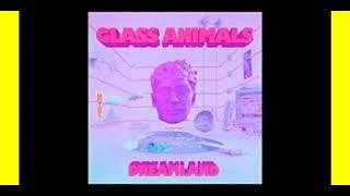 Dreamland 1 Hour Glass Animals