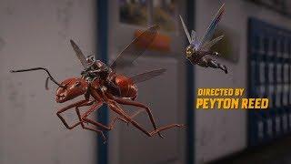 Antman & Wasp : End Credits