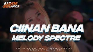 DJ CIINAN BANA X MELODY SPECTRE STYLE KARNAVAL 2024