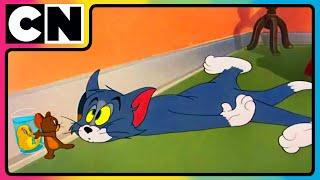 Tom and Jerry  | Goldie’s On The Menu! | Compilation | Cartoon for Kids | @cnindia