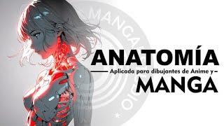 Anatomía aplicada para dibujantes de Manga Japonés | Applied anatomy for Japanese Manga artists